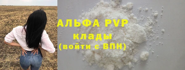 прущие грибы Ельня