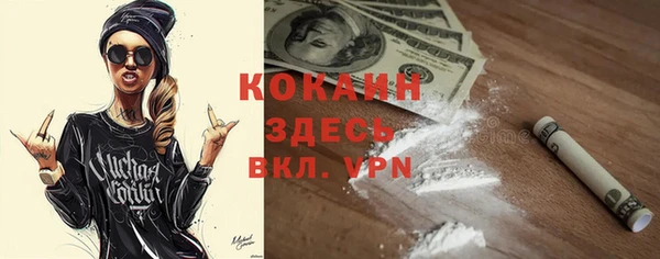 прущие грибы Ельня