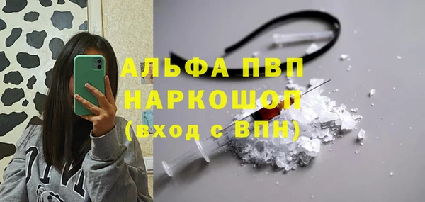 прущие грибы Ельня