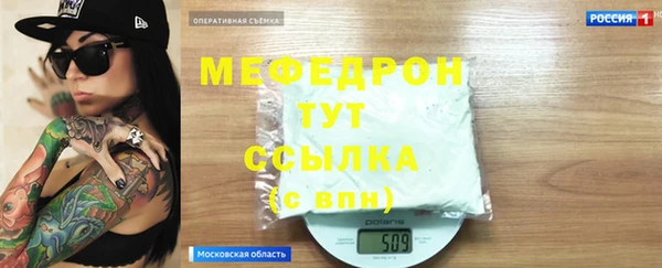 прущие грибы Ельня