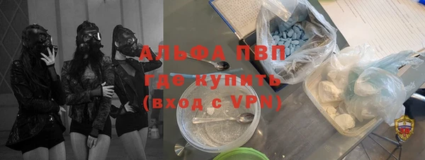 прущие грибы Ельня