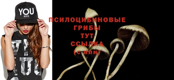 МДМА Елизово