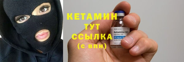 прущие грибы Ельня