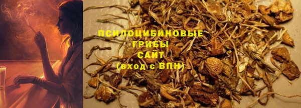 прущие грибы Ельня