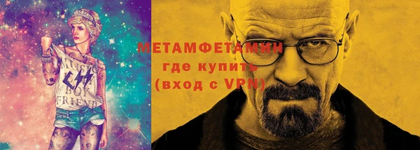 прущие грибы Ельня