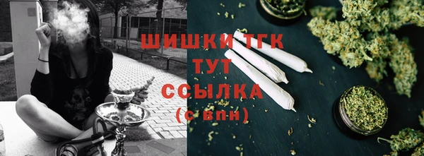 прущие грибы Ельня