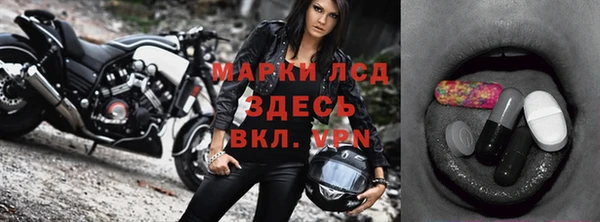 прущие грибы Ельня