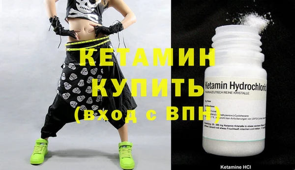 прущие грибы Ельня