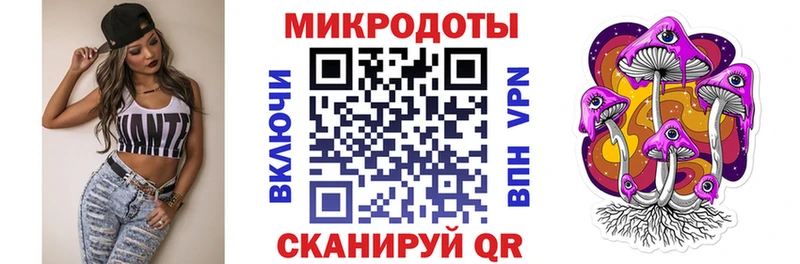 Купить закладки  Кулебаки  Галлюциногенные грибы мицелий 